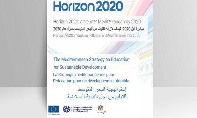 Mediterranean Strategy on ESD (2014)