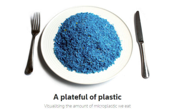 A plateful of plastic