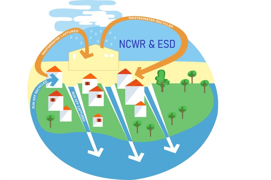 Two Webinars on ESD with focus on NCWRs, 23 February & 9 March 2022