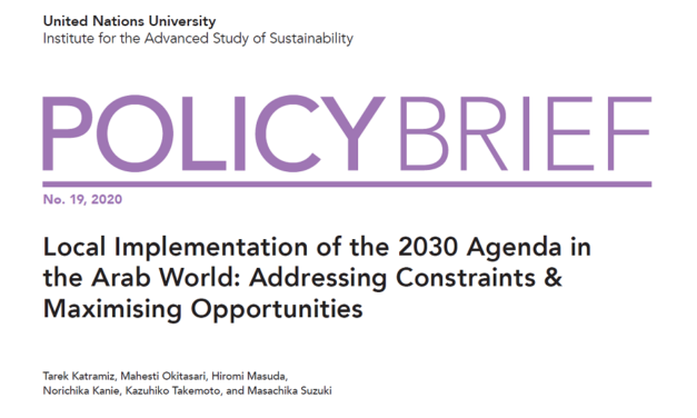 UN University Policy Brief: Local Strategies for the SDGs in the Arab World