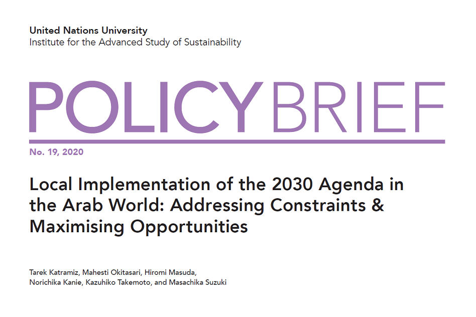 UN University Policy Brief: Local Strategies for the SDGs in the Arab World