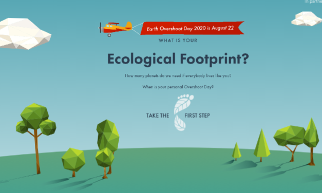 What is your ecological footprint?