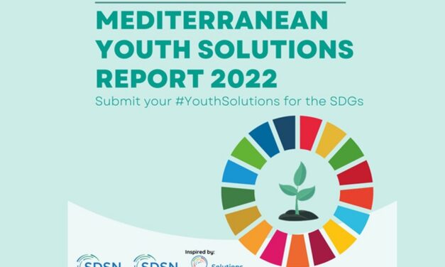 Mediterranean Youth Solutions Report 2022