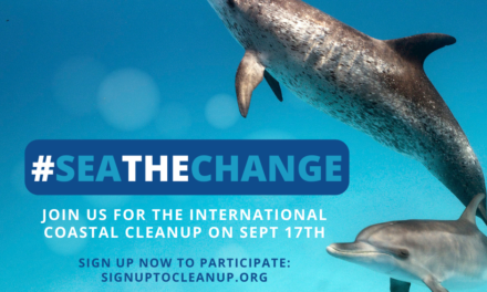 International Coastal Clean Up September 2022