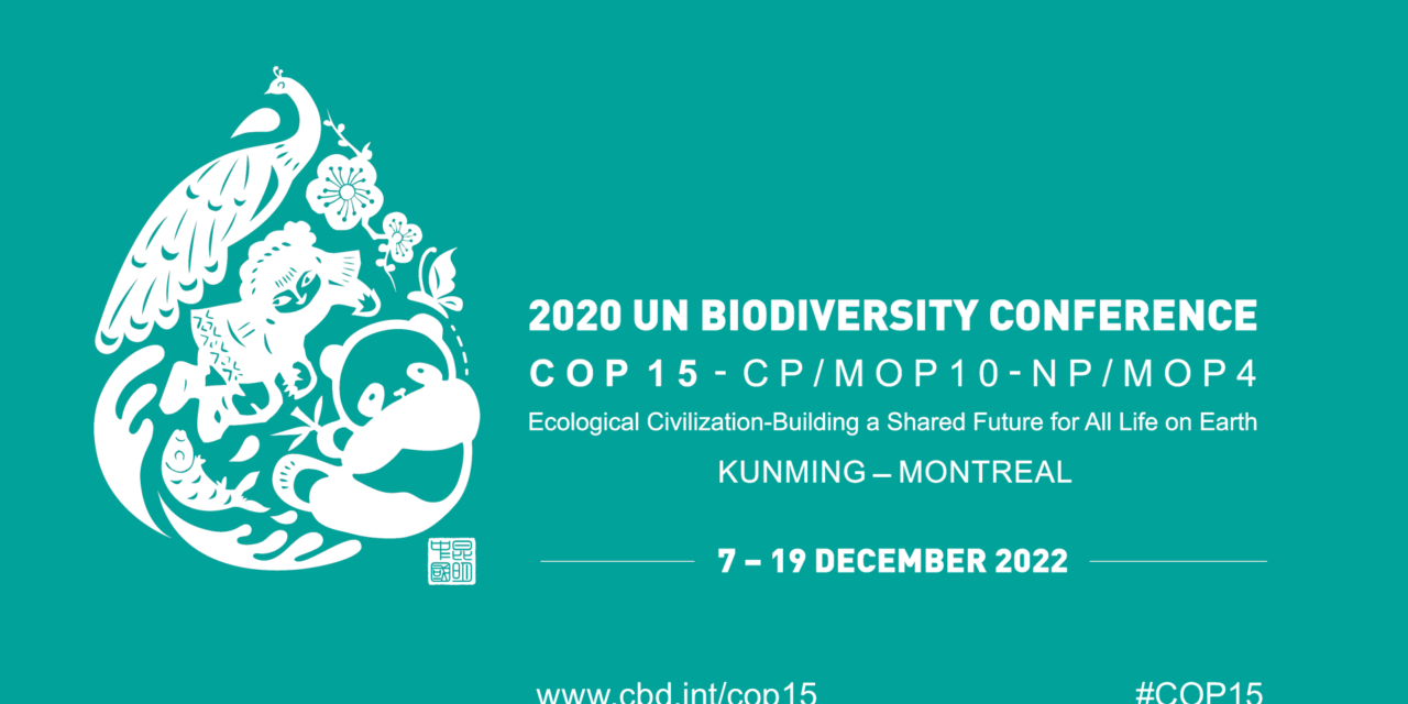 Biodiversity COP15: A historic deal & education on the front