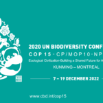 Biodiversity COP15: A historic deal & education on the front