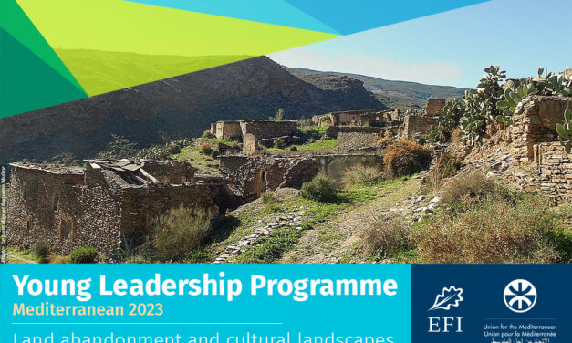 EFI Young Leadership Programme–Med 2023