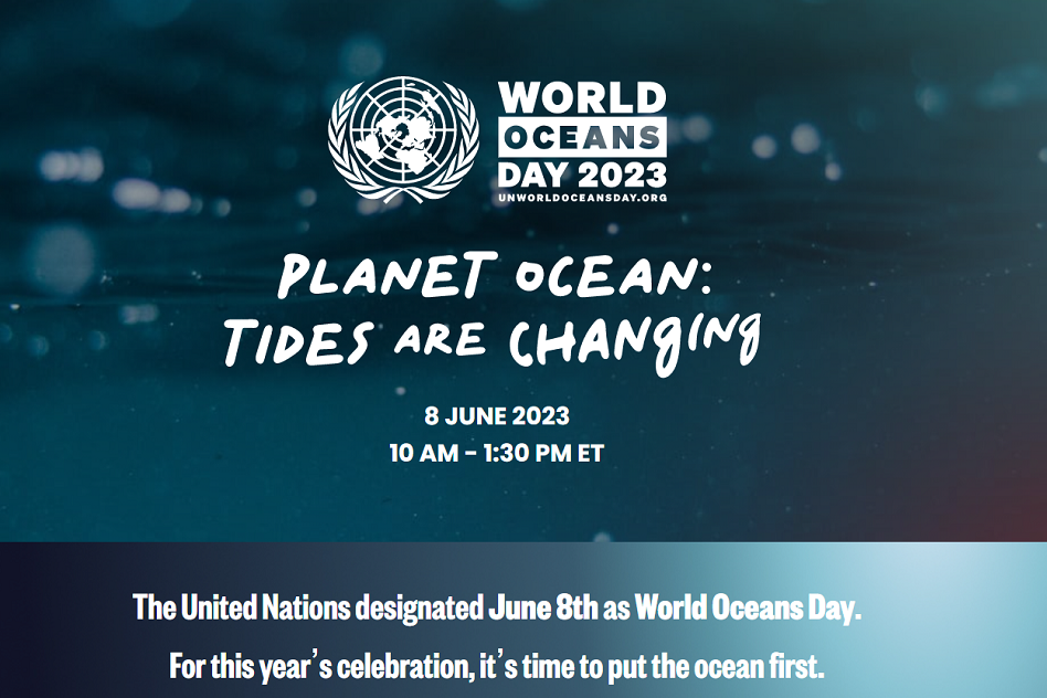 World Ocean Day 2023: How to get involved