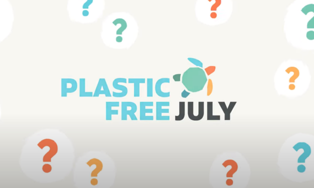 Plastic Free July 2023