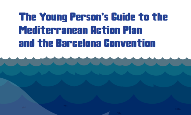 Barcelona Convention: Young Persons Guide