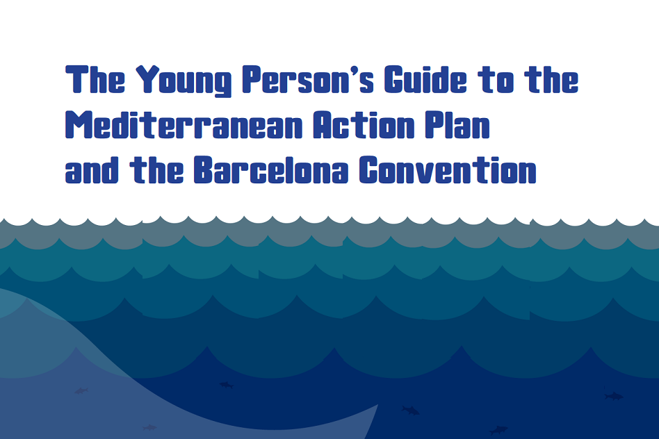 Barcelona Convention: Young Persons Guide