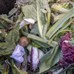 Tackling Food Waste to Combat Climate Change