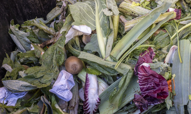 Tackling Food Waste to Combat Climate Change