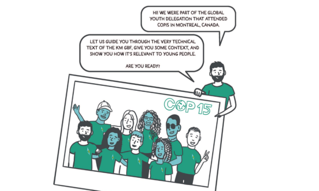 Youth-friendly illustrated summary of the Global Biodiversity Framework