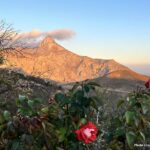 Asterousia University 2025 – Report