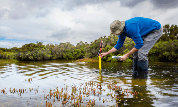 UNESCO 2nd call on Sciences for Sustainable Development
