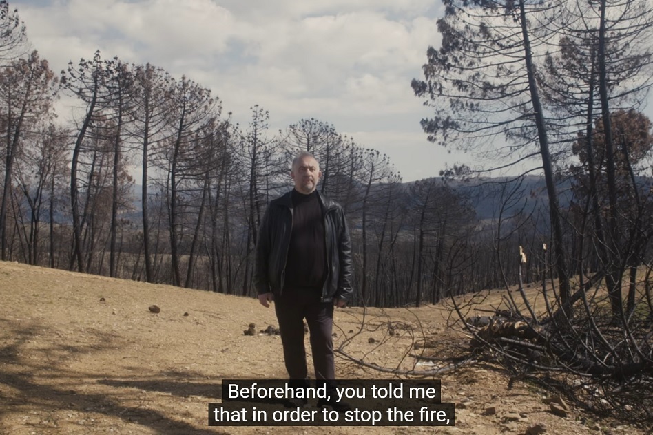 Beyond Destruction-Rhodes, Thessaly, Evros #2 The Forester