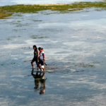 UN explainer: the Gender–Climate Connection