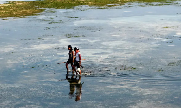 UN explainer: the Gender–Climate Connection