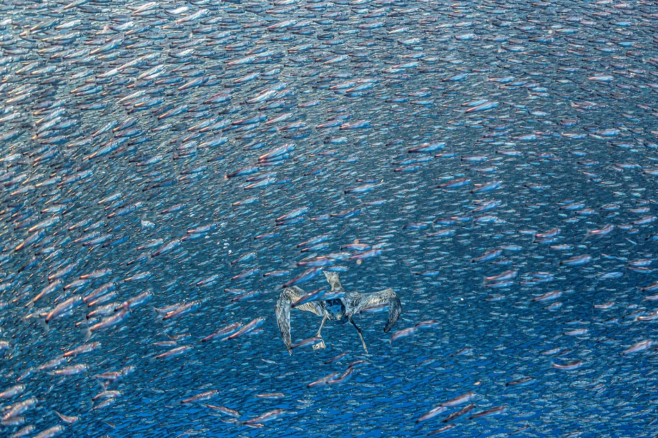 Best Environmental Photography of 2026