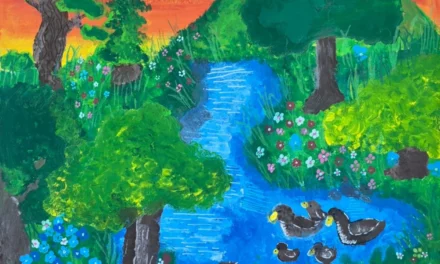 2026 The Water We Want Winners