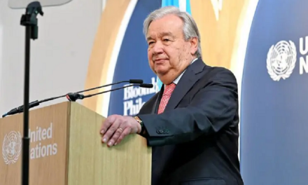 UN Launches AI Environmental Transparency Initiative