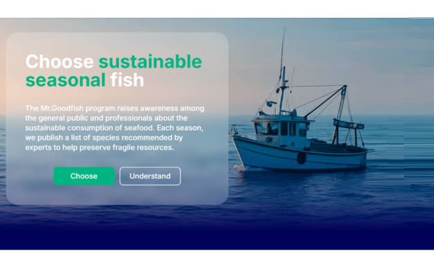 Mr Goodfish App redesigned