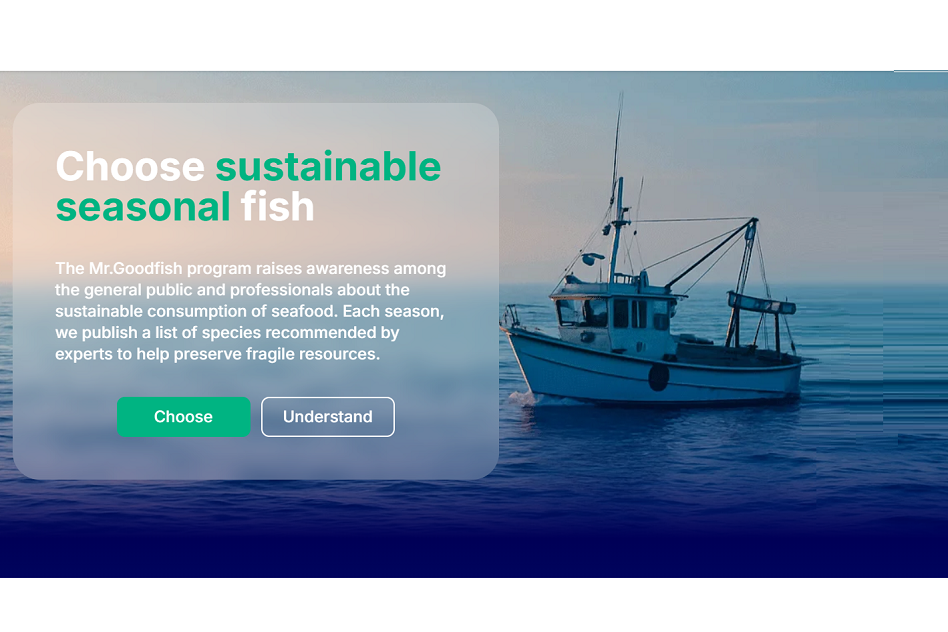 Mr Goodfish App redesigned
